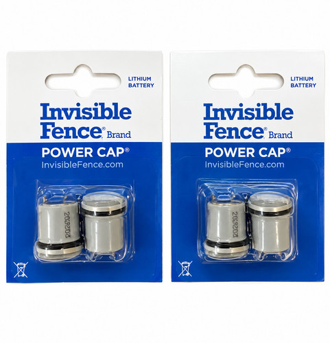 Invisible fence power - invisible,